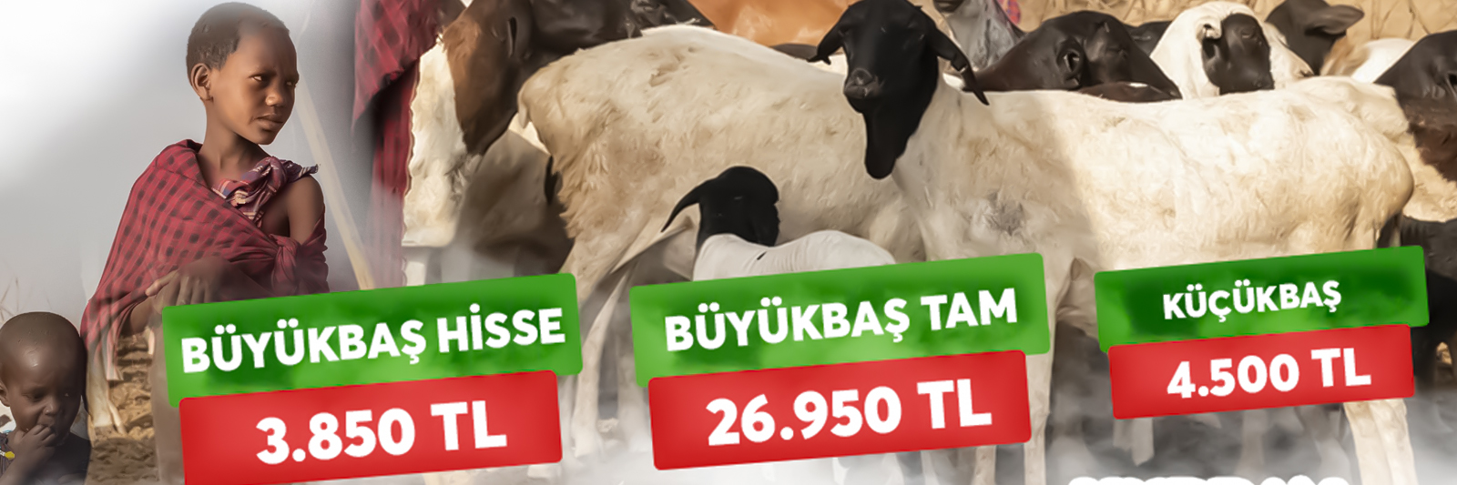Kurban Bağışı