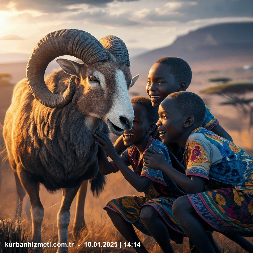 kurban bağışı afrika 2022