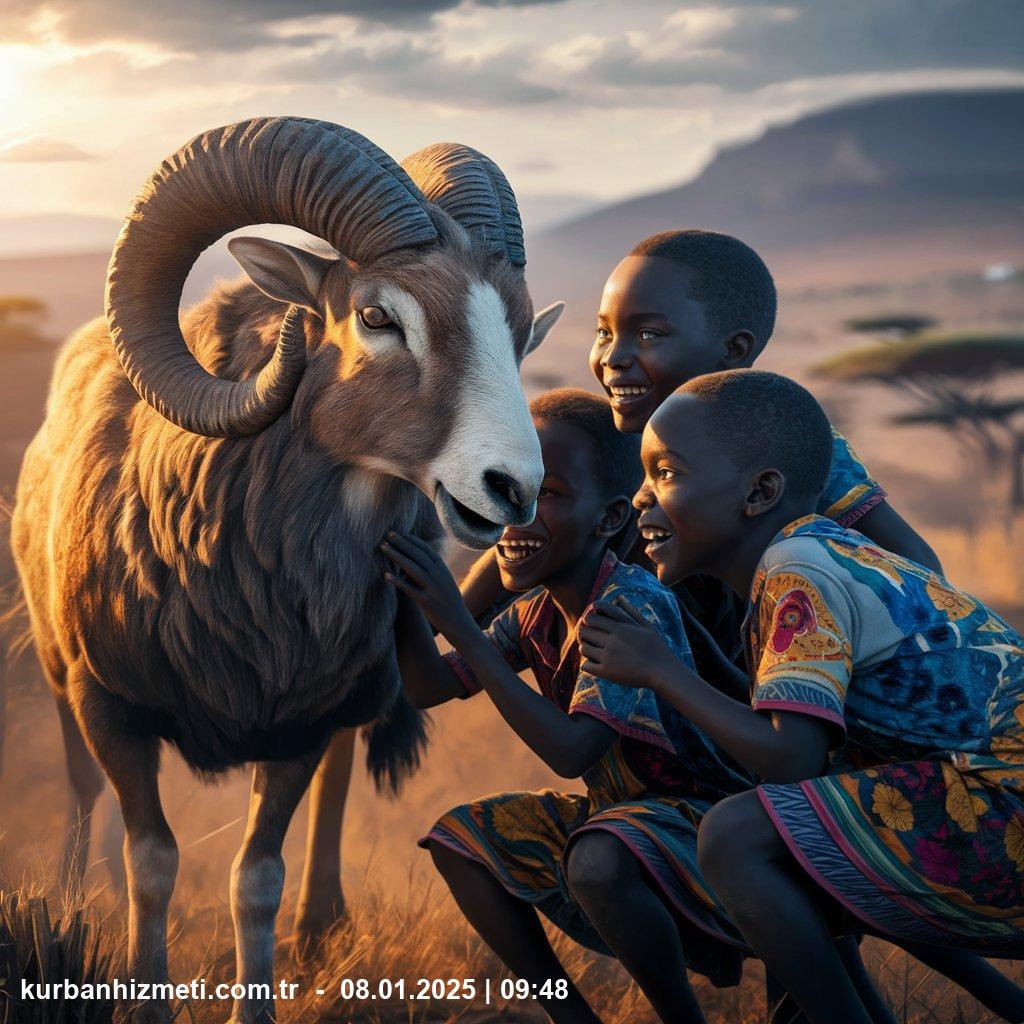 afrika kurban bağışı kaç para