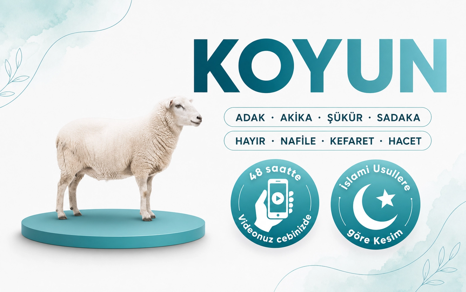 Koyun